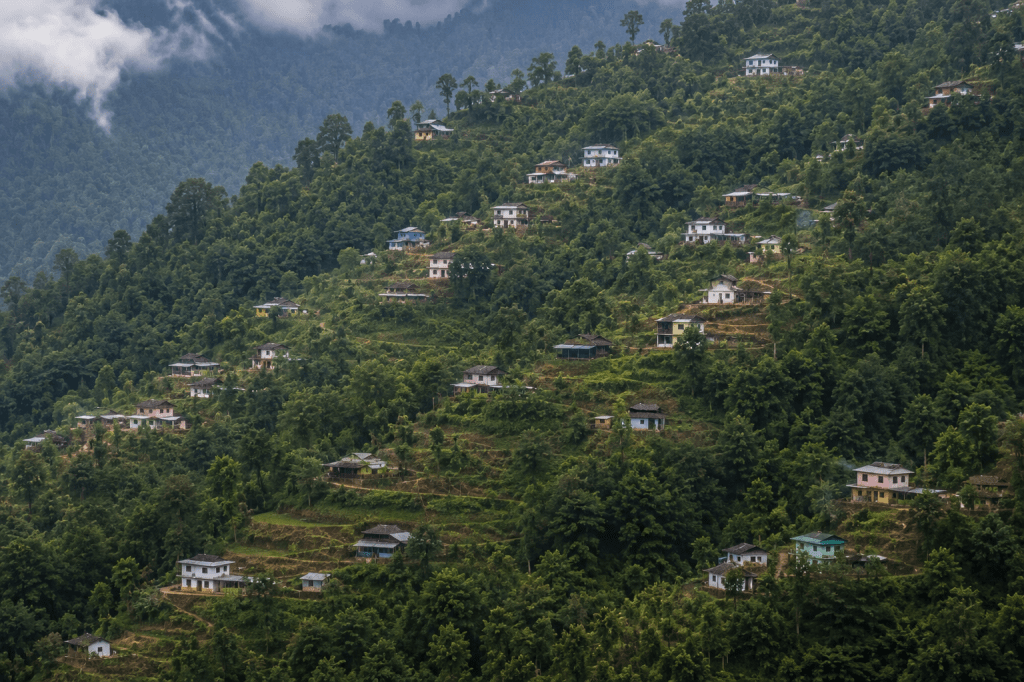 Four Villages, 162 Families Yet to be Relocated from Similipal and Satkosia Tiger&nbsp;Reserves