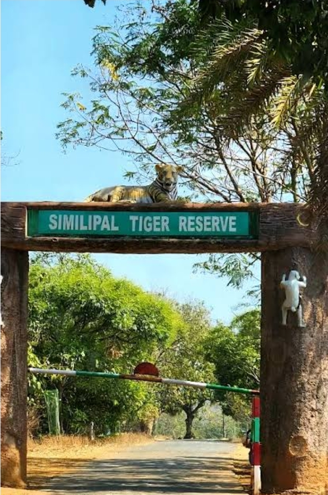 Similipal Tiger Reserve Strengthens Monsoon Protection with 214 Anti-Poaching&nbsp;Camps