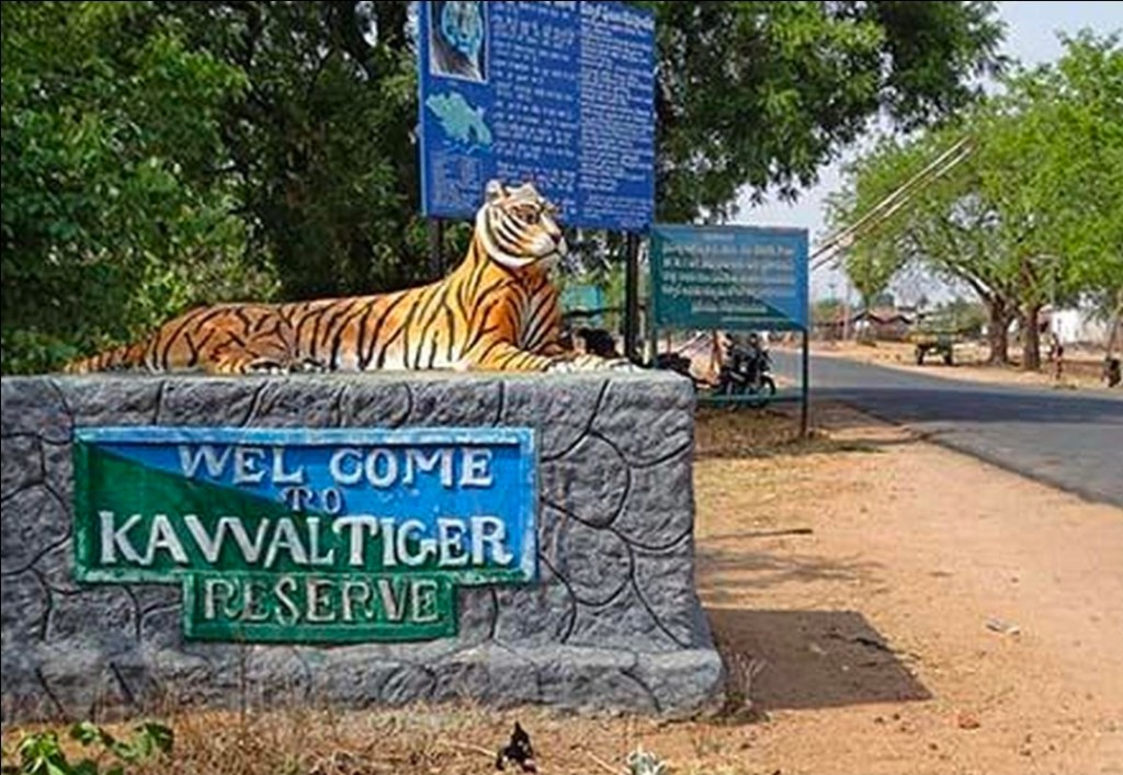 NTCA Approves Tiger Reintroduction Plan for Kawal Tiger&nbsp;Reserve