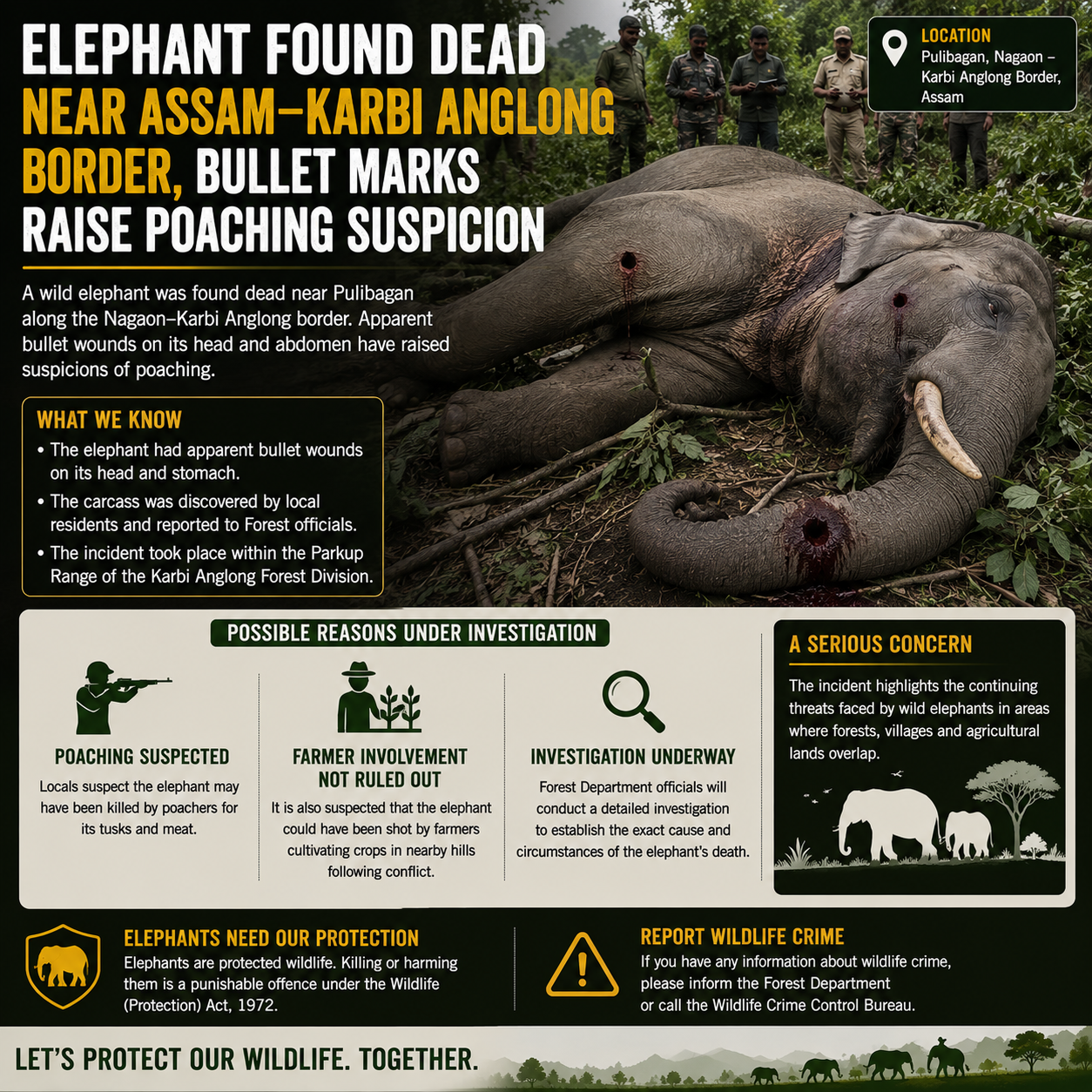 Mystery surrounds Death of Elephant Near Assam–Karbi Anglong Border, Suspected Gunshot Wounds Raise Poaching Concerns