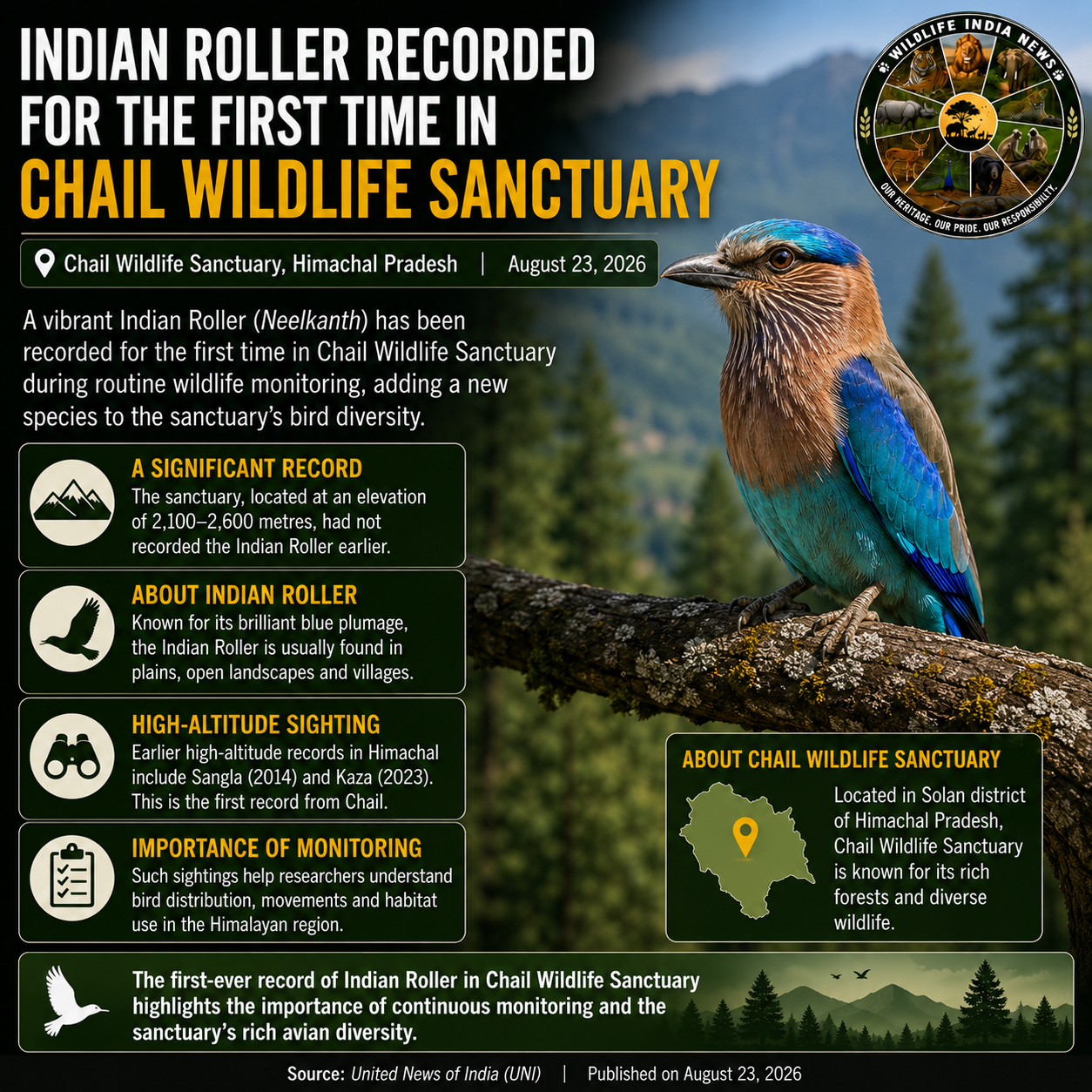 Indian Roller Recorded for the First Time in Chail Wildlife Sanctuary