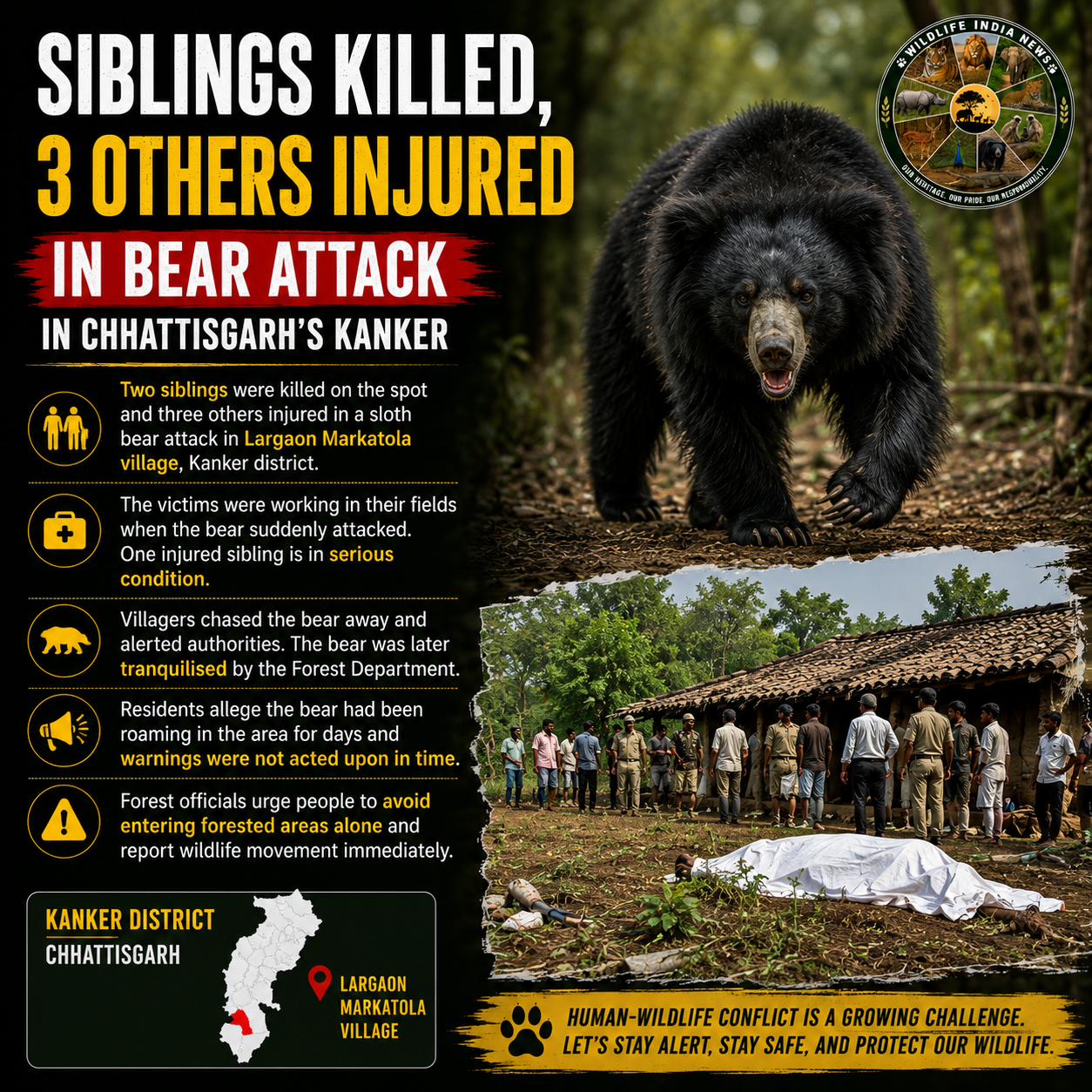 Two Siblings Killed, Three Others Injured in Bear Attack in Chhattisgarh’s Kanker