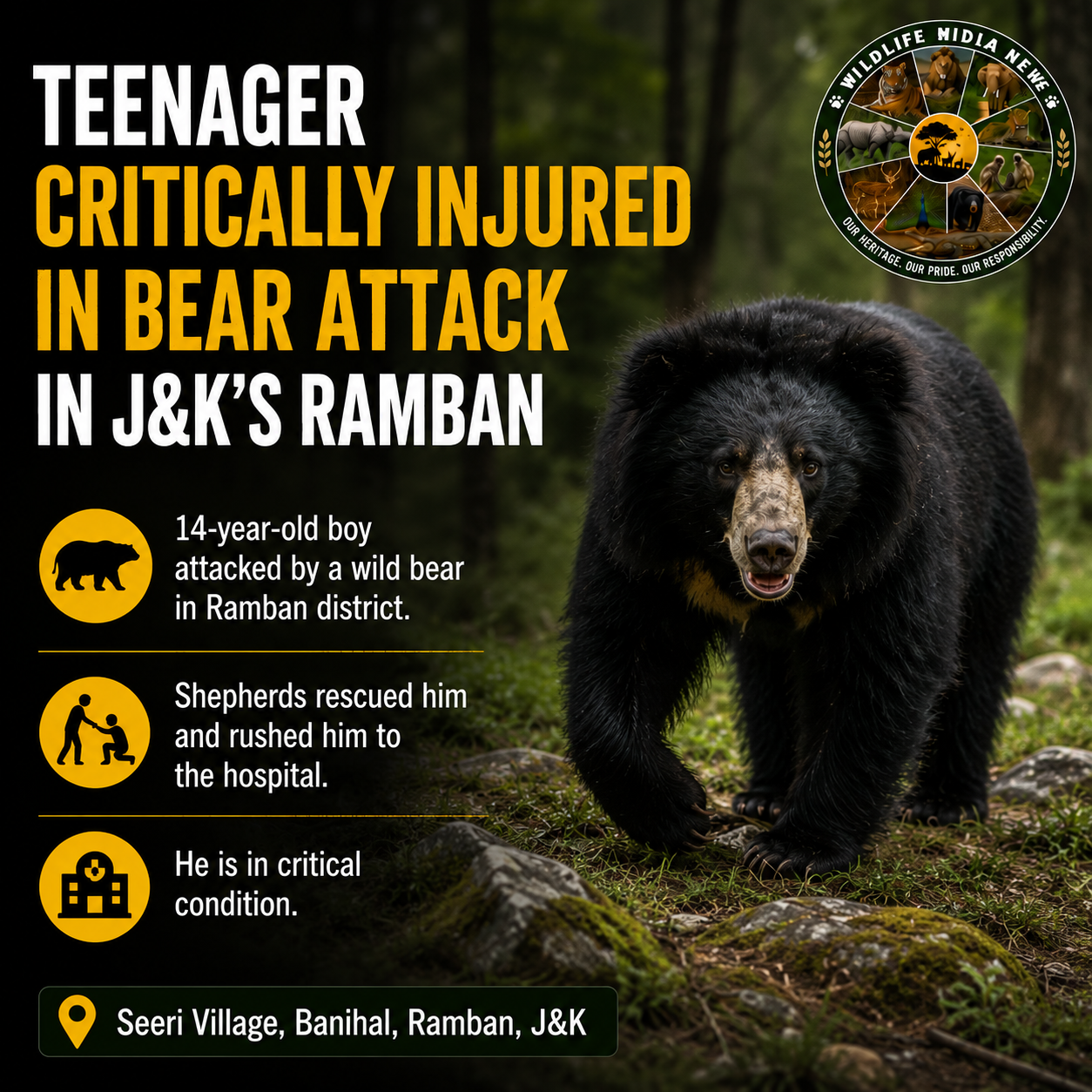 Teenager Critically Injured in Bear Attack in J&K’s Ramban