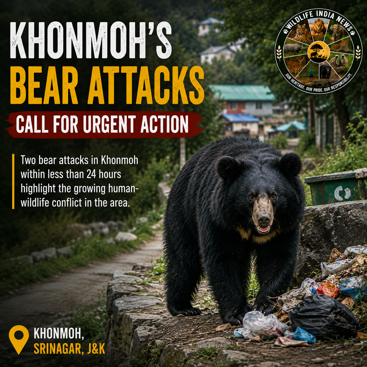 Bear Attacks in Khonmoh Raise Urgent Human-Wildlife Conflict Concerns