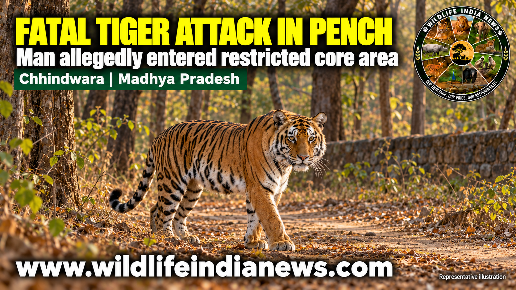 Man Killed in Tiger Attack After Allegedly Entering Pench’s Restricted Core Area