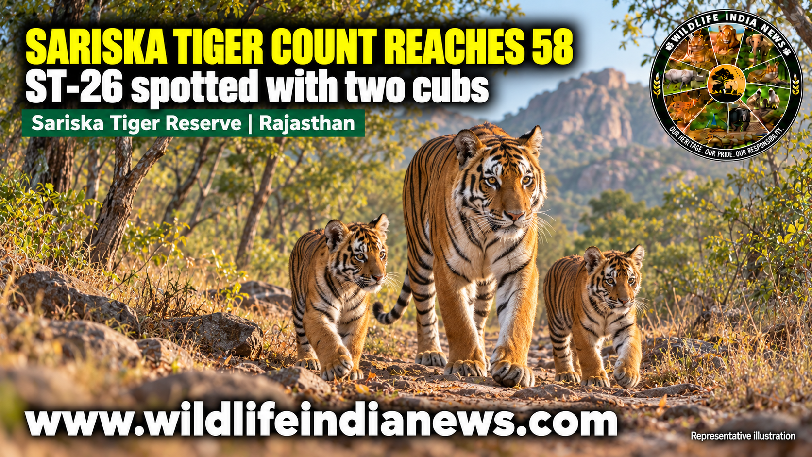 Sariska’s Tiger Count Reaches 58 as Tigress ST-26 Appears With Two Cubs